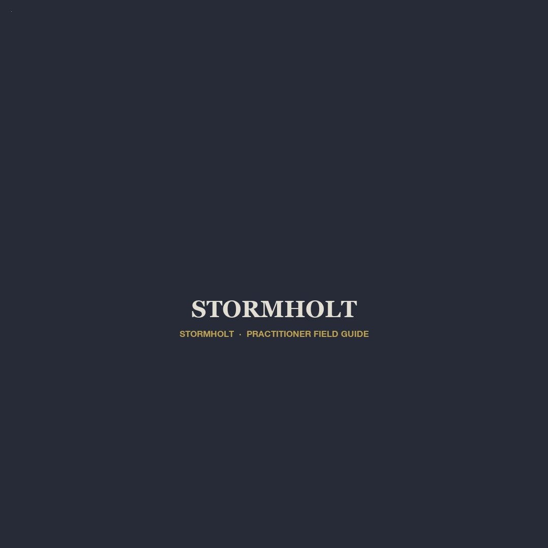 Stormholt v6 product video
