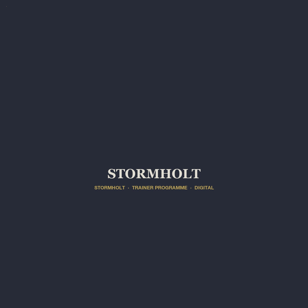 Stormholt v6 product video